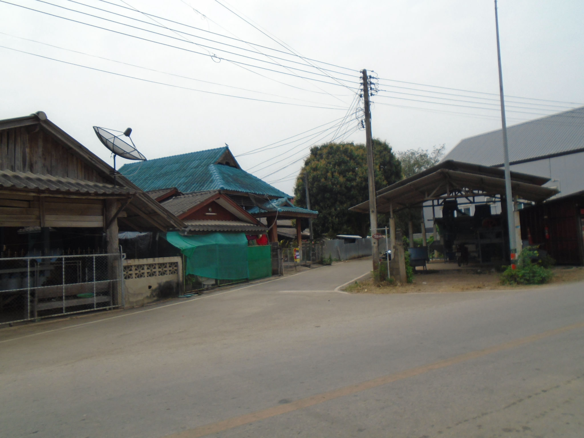 ทรัพย์ใหม่ หัวเสือ (6).JPG