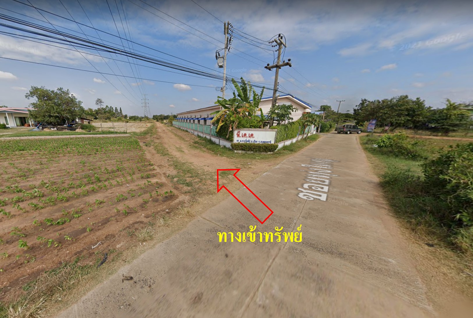 ทุ่งใหญ่2.jpg