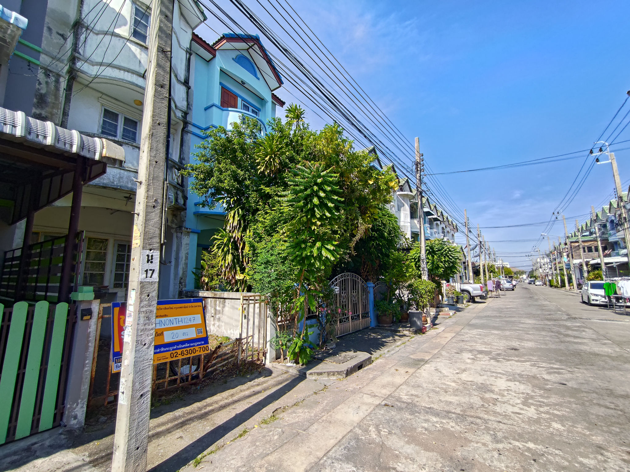 P_20241223_104253.jpg