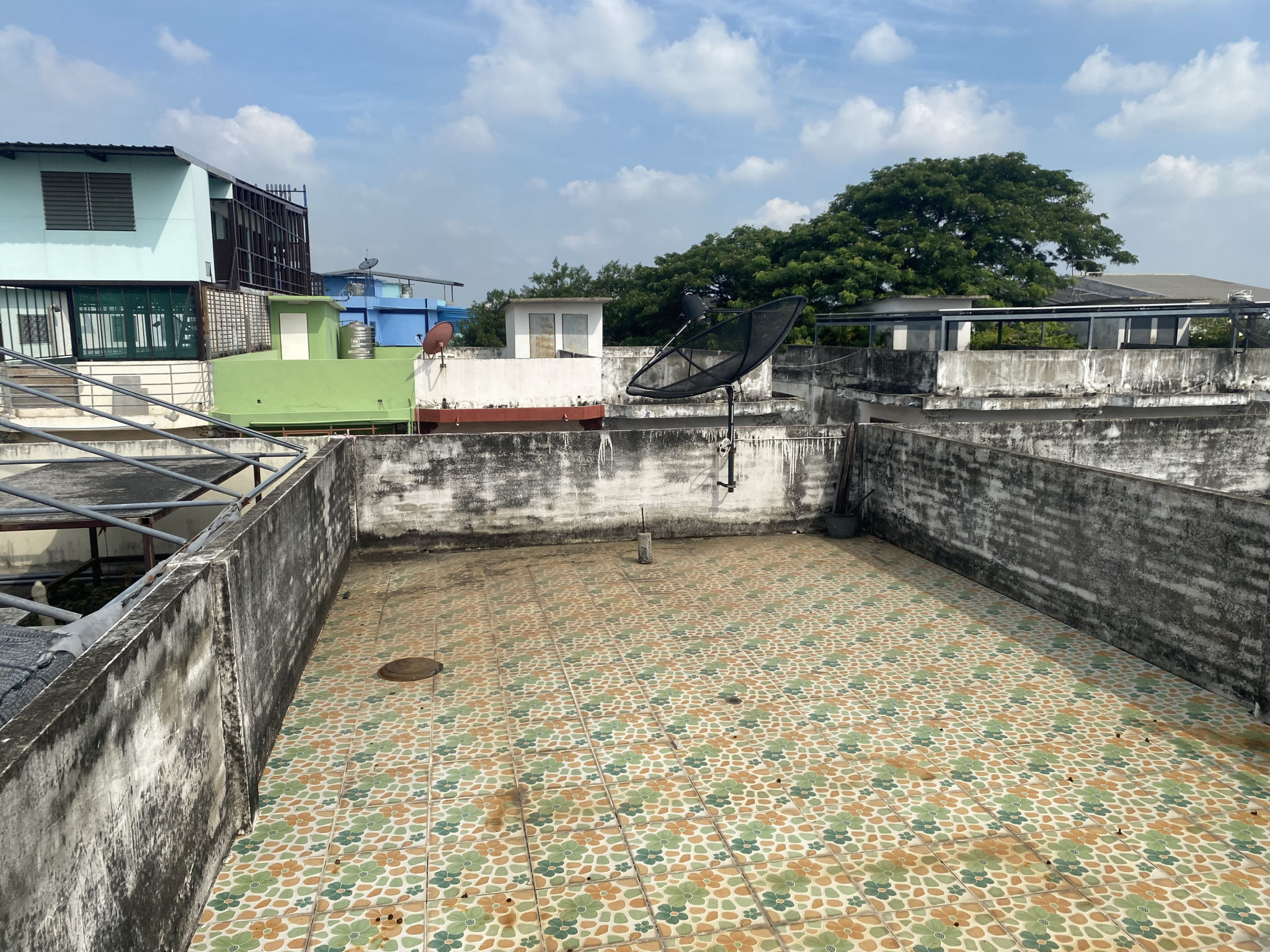 IMG_3387.jpeg