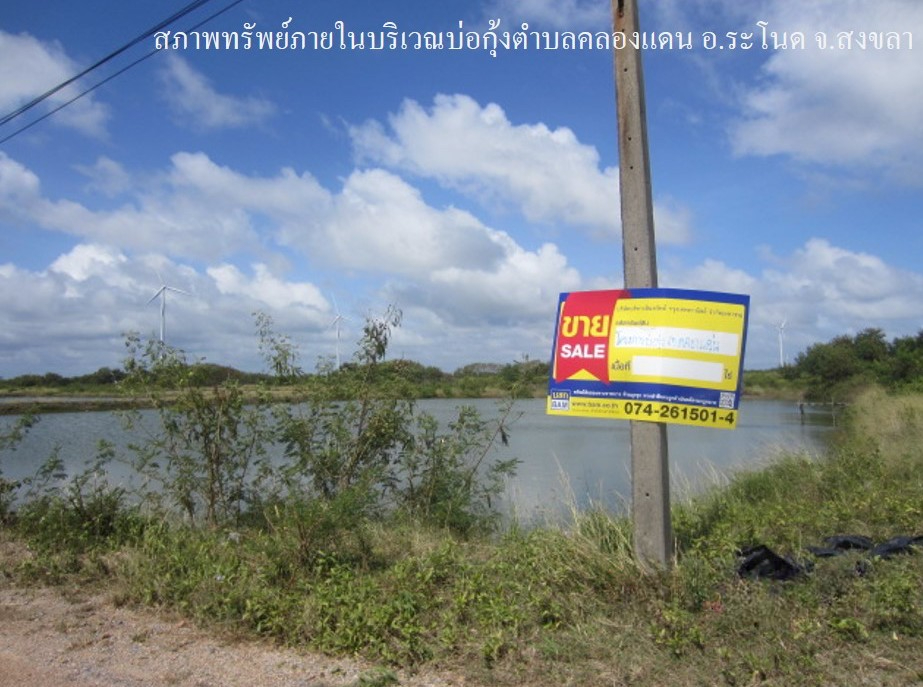 ที่ดิน คลองแดน  สงขลา