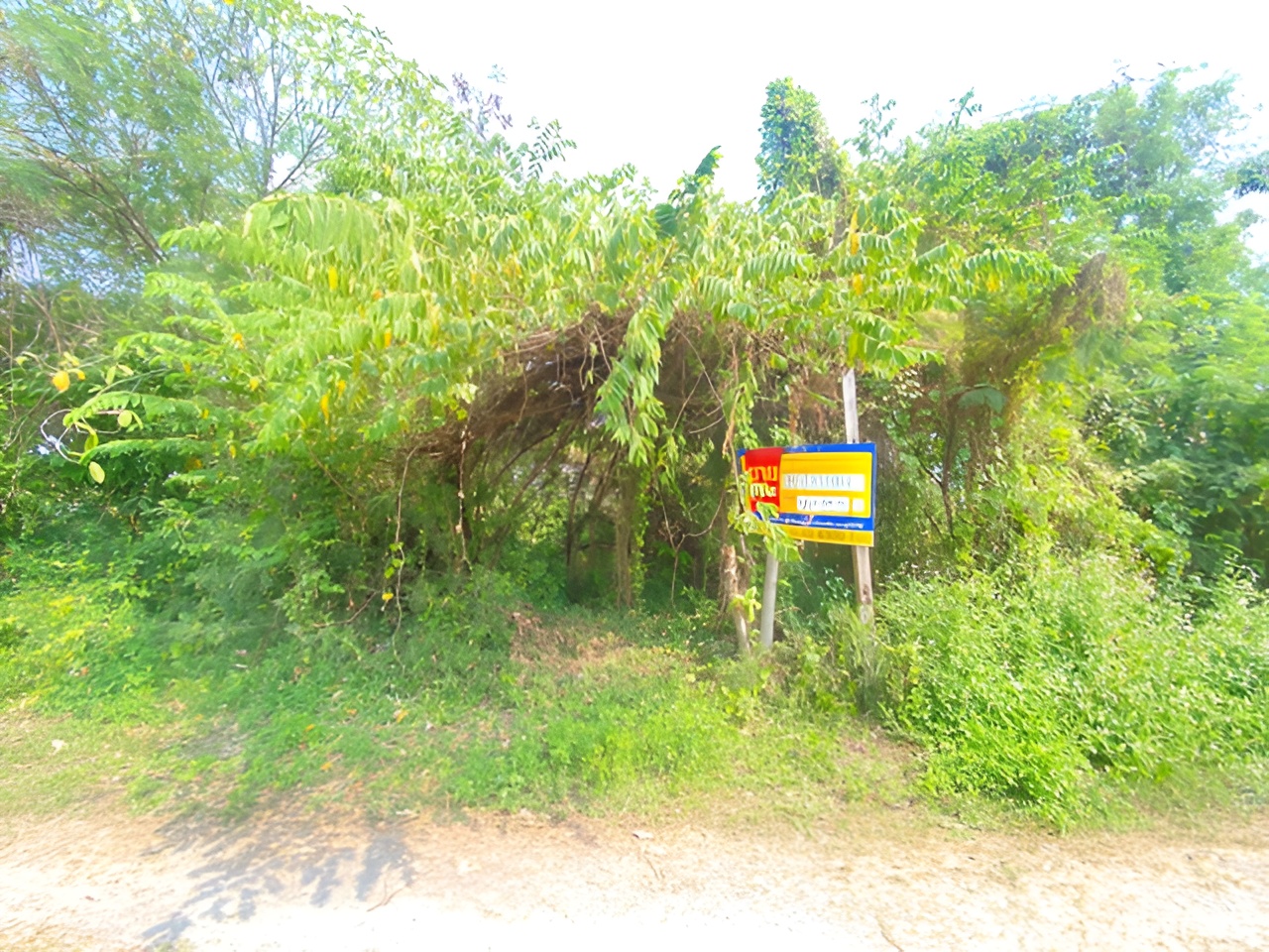 ที่ดิน บางขุนศรี บางกอกน้อย กรุงเทพมหานคร