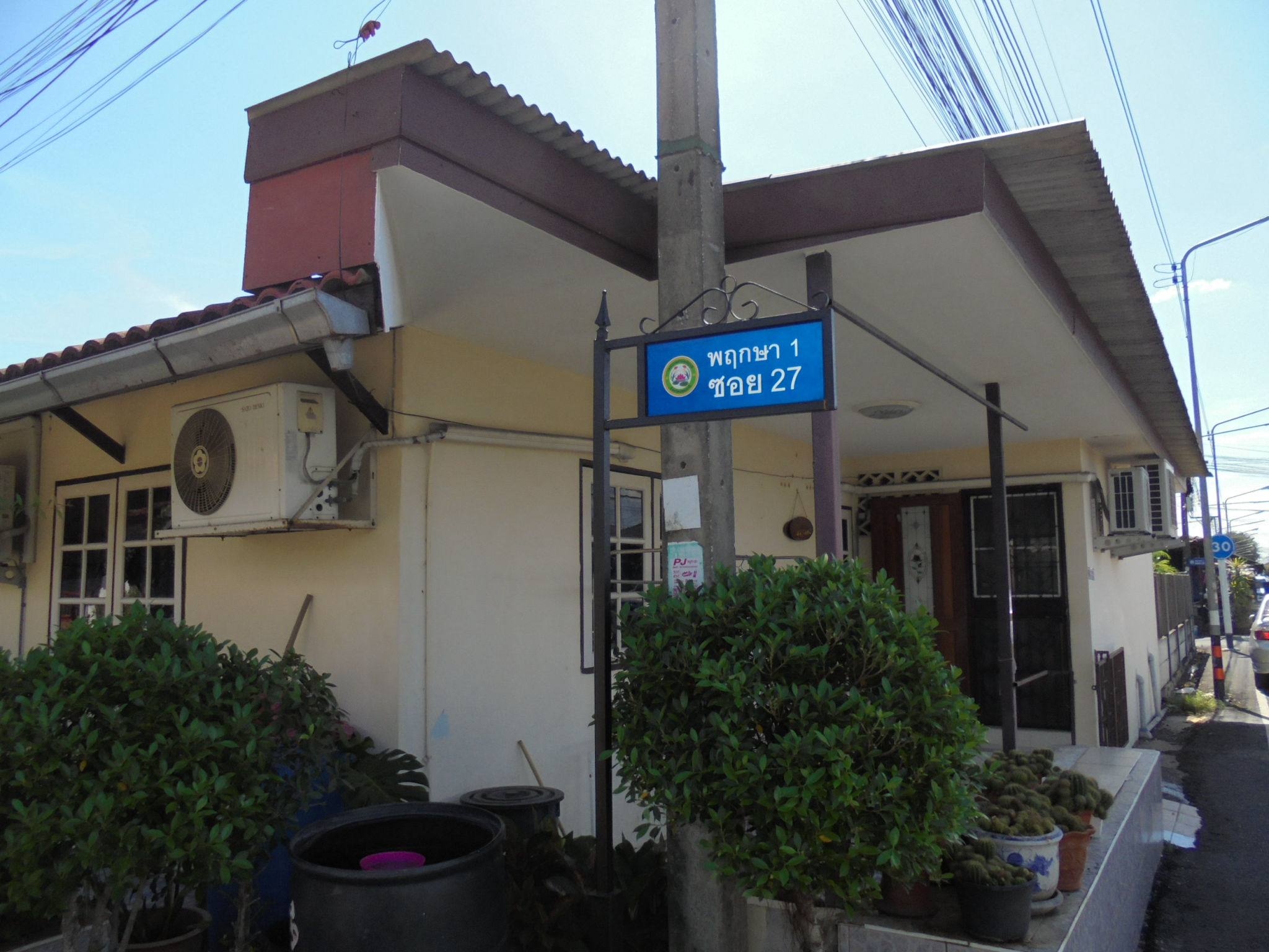 DSC05445.JPG