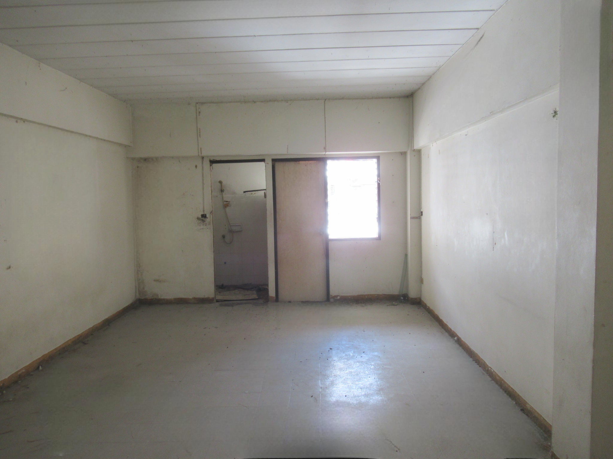 image (12).png