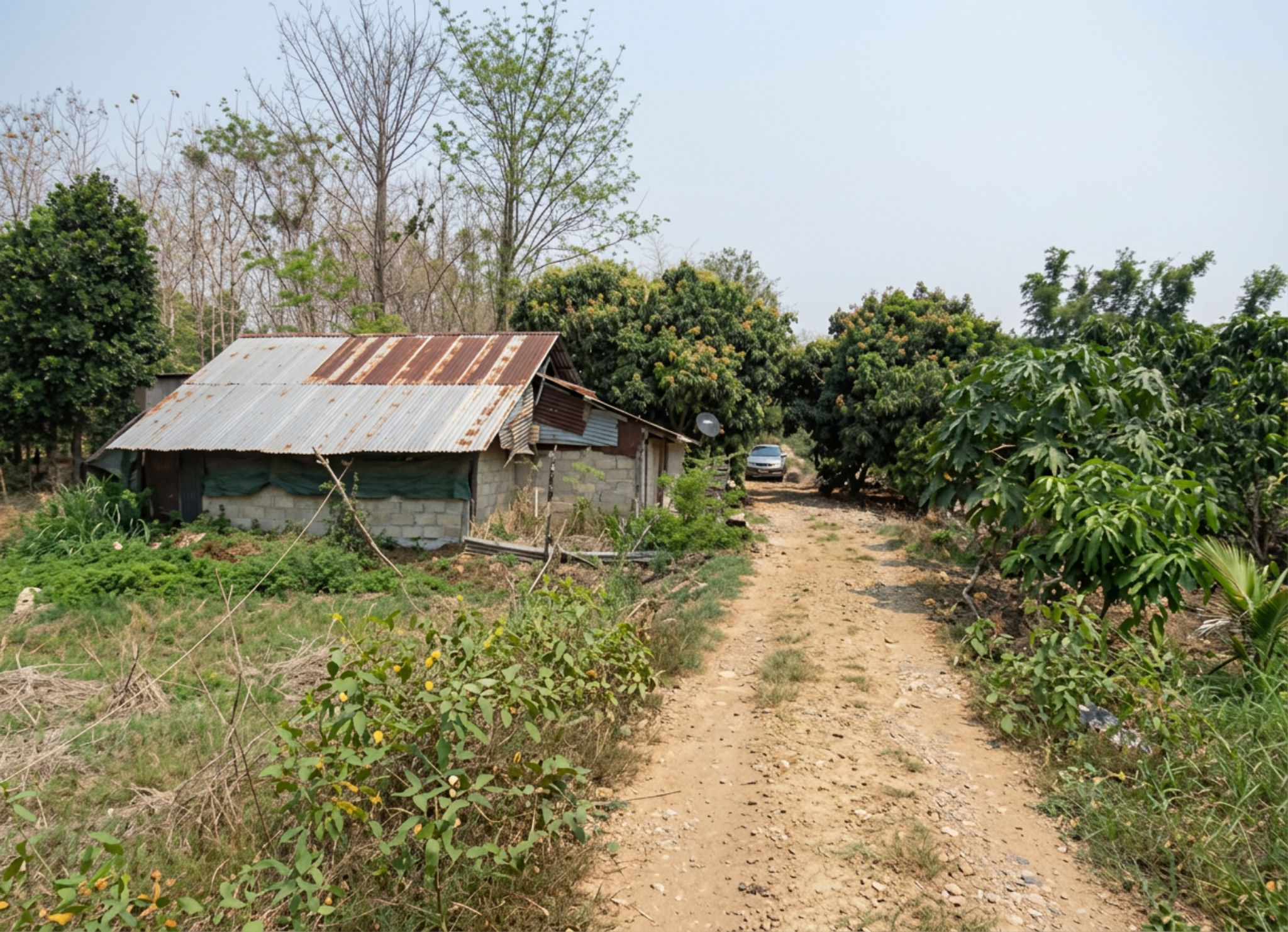 freepik__-2-__63996.png