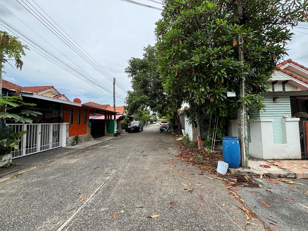 S__116850790.jpg