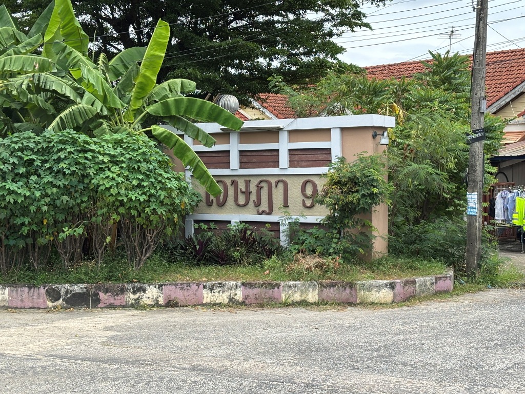 S__116850794.jpg