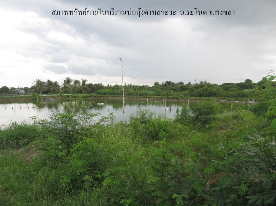 ที่ดิน ระวะ  สงขลา