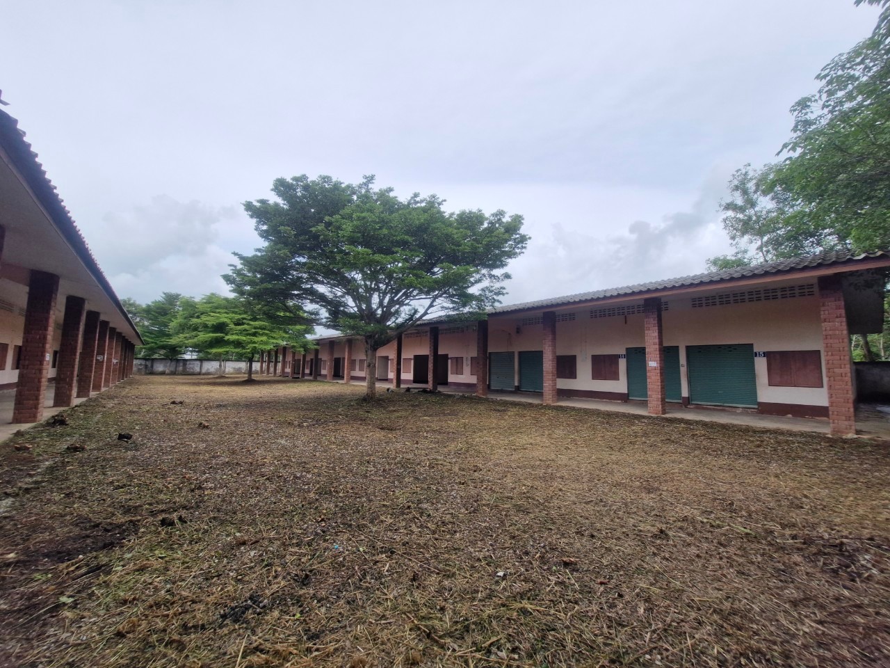 7AF13096-E5FA-4375-817E-A2E42B7A3D18.JPEG