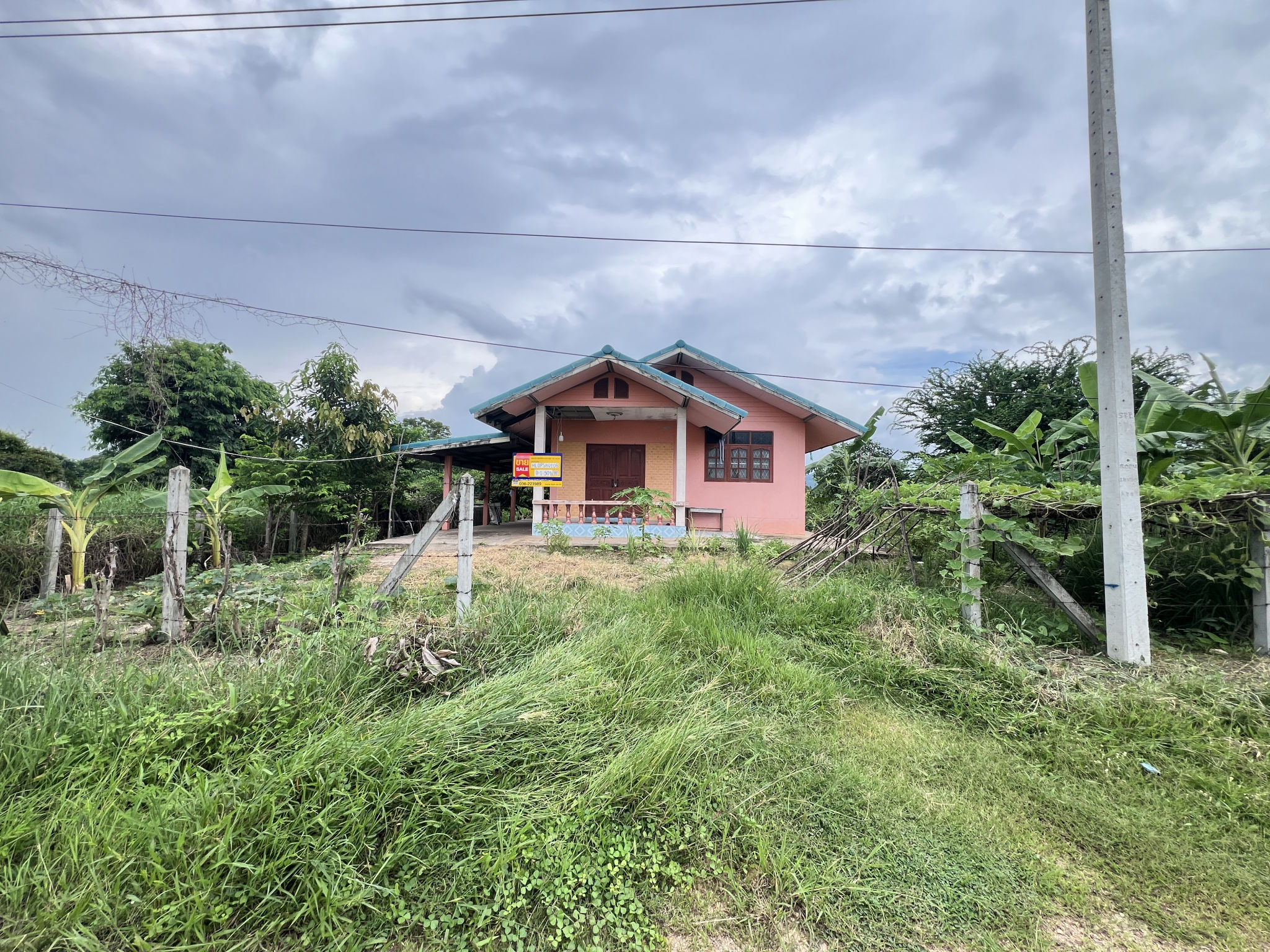 IMG_7373.JPG