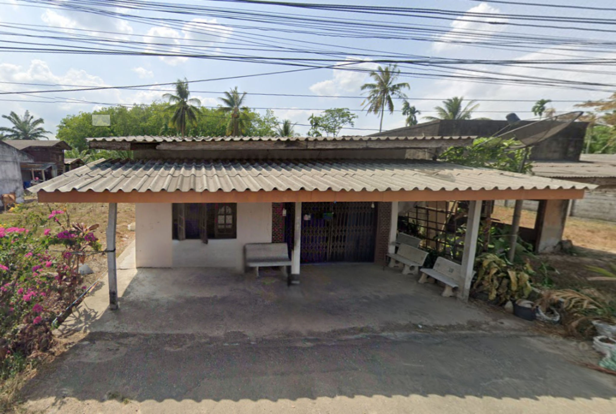 Canva Bamm (98).png
