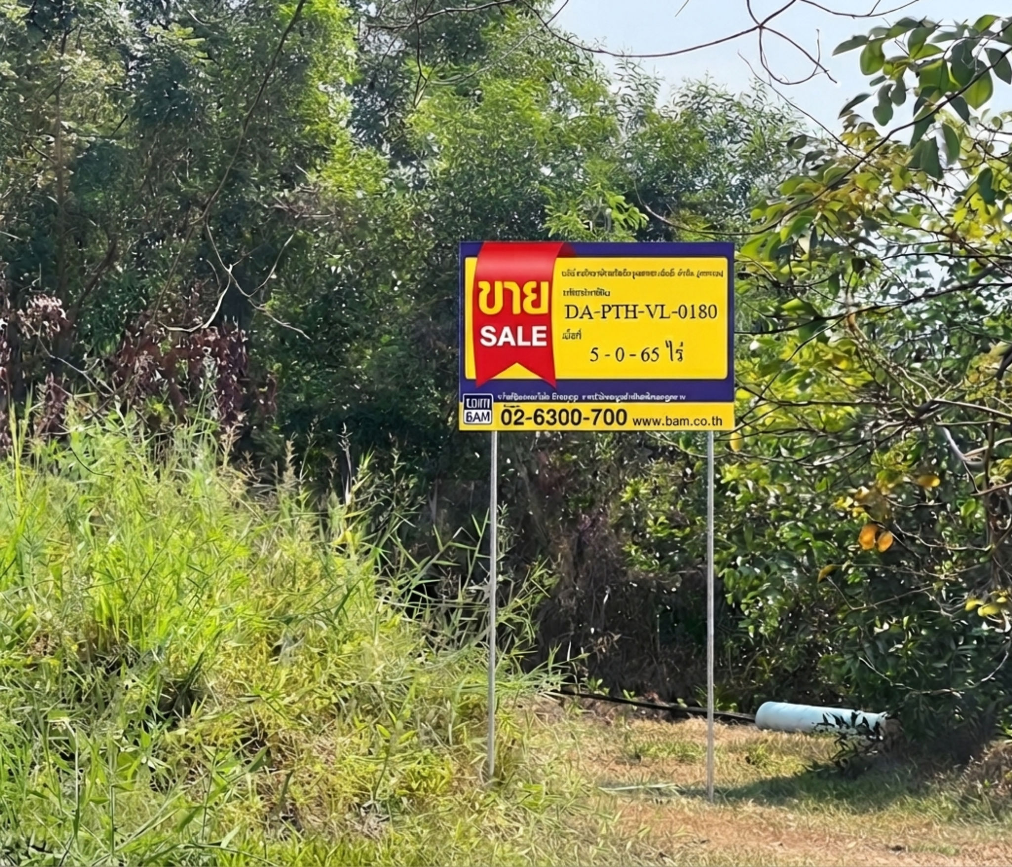 ที่ดิน ศาลาครุ หนองเสือ ปทุมธานี