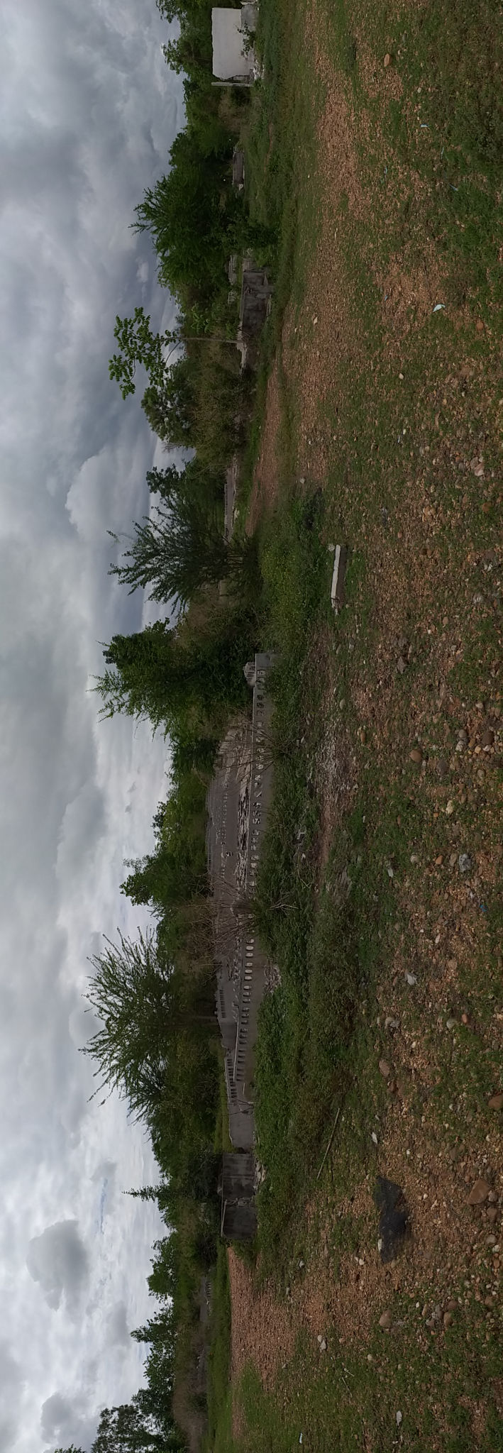 20190613_104554.jpg