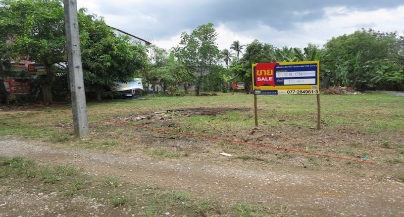 ที่ดิน วัดประดู่  สุราษฎร์ธานี