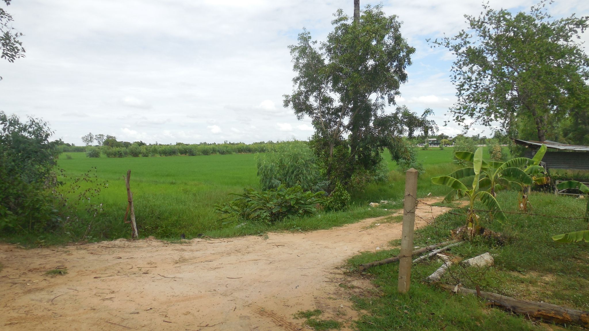 DSCN7816.JPG