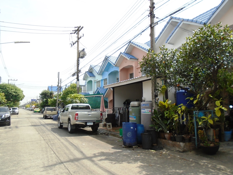 5+DSC00115.JPG