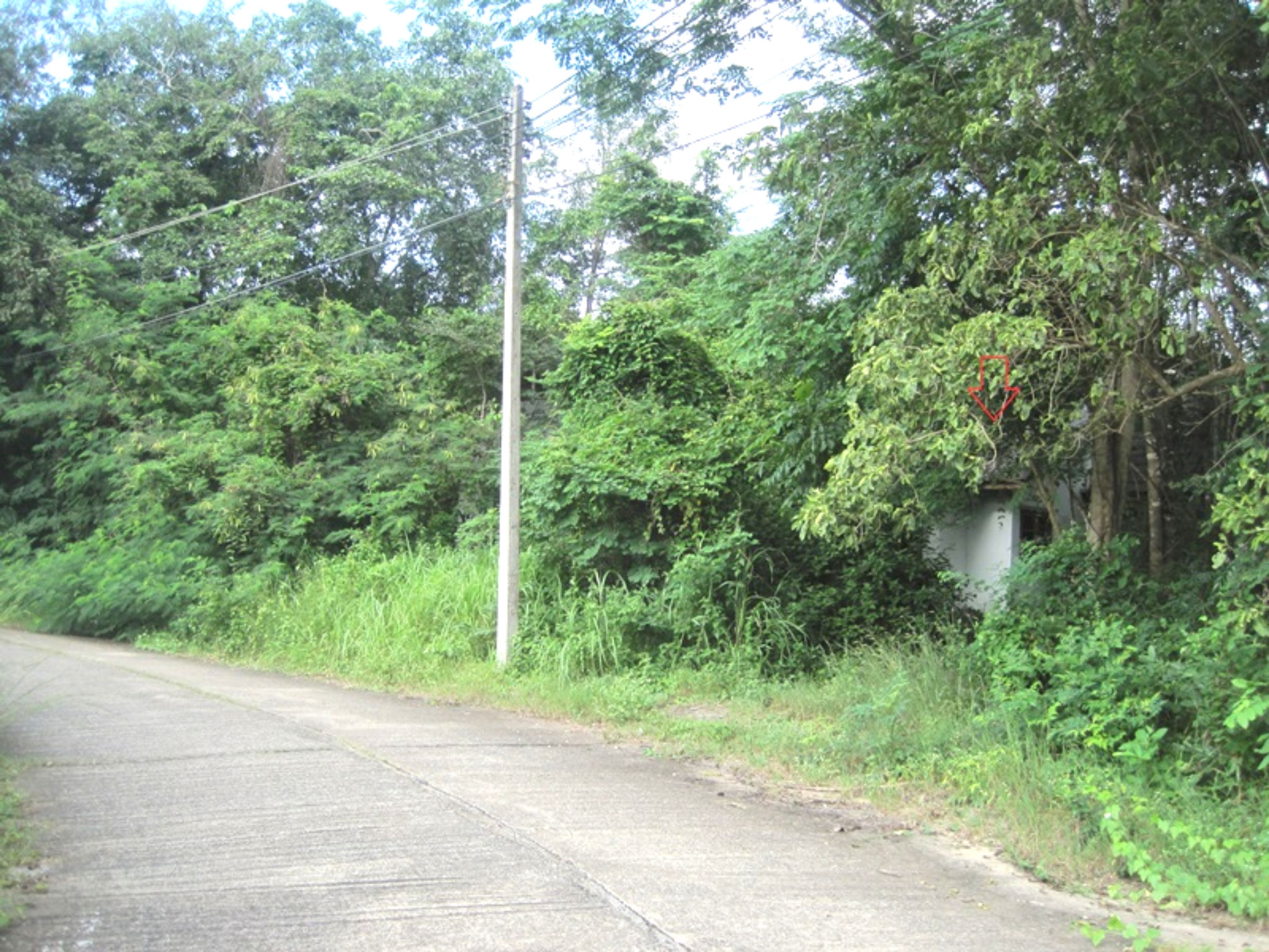 image - 2025-08-25T130436.770.png