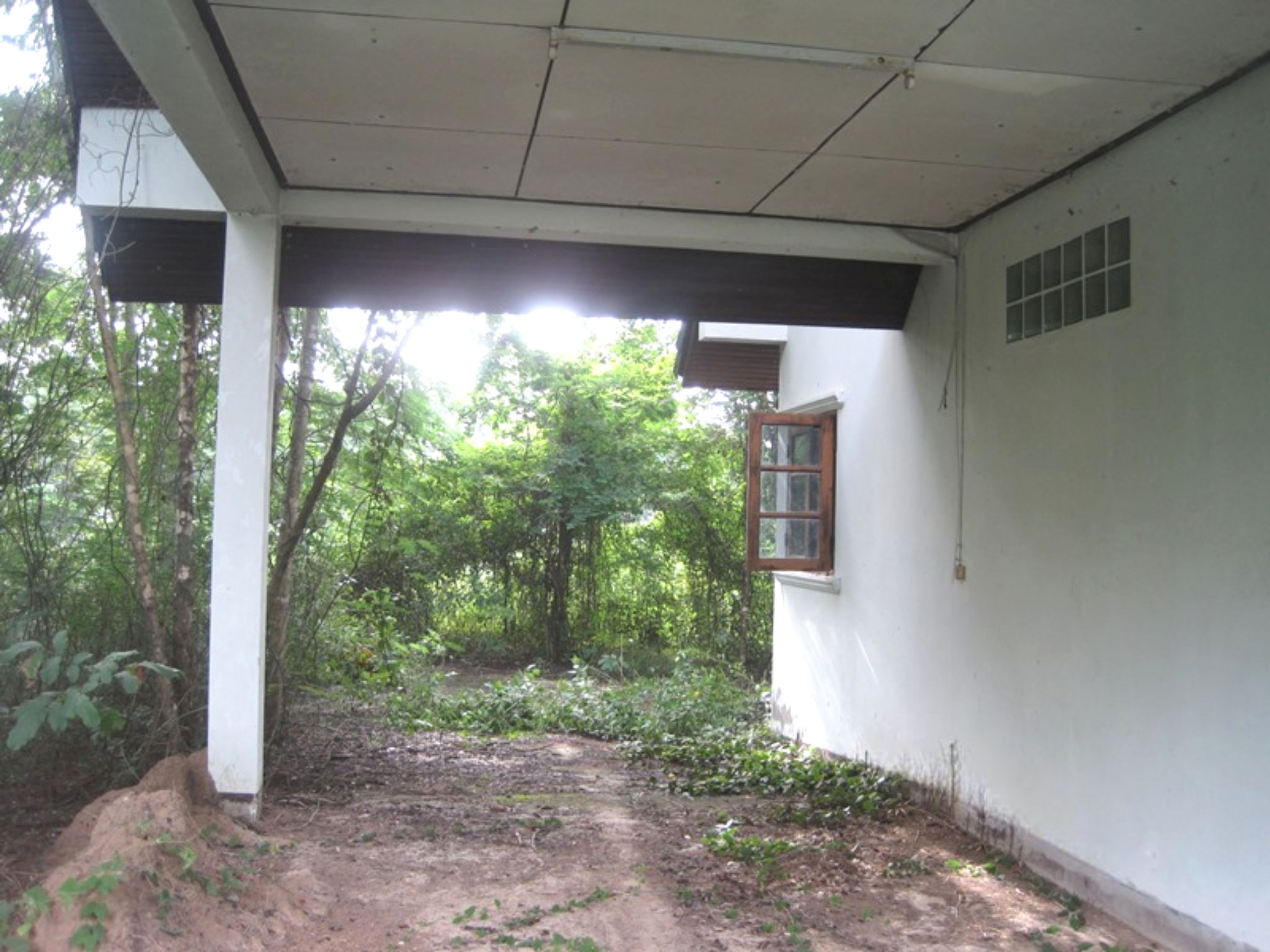 image - 2025-08-25T130434.104.png