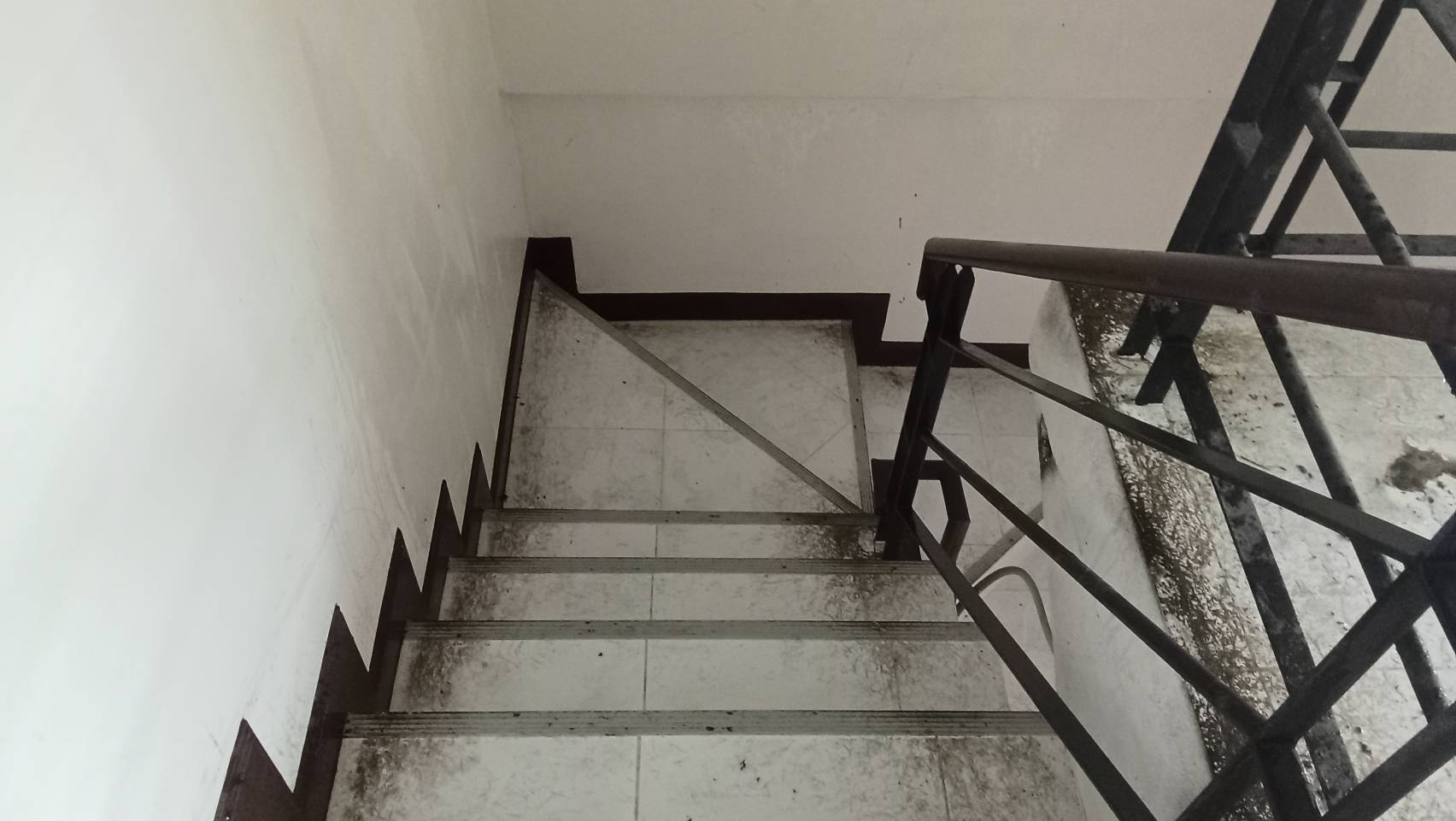 1728033096818.jpg