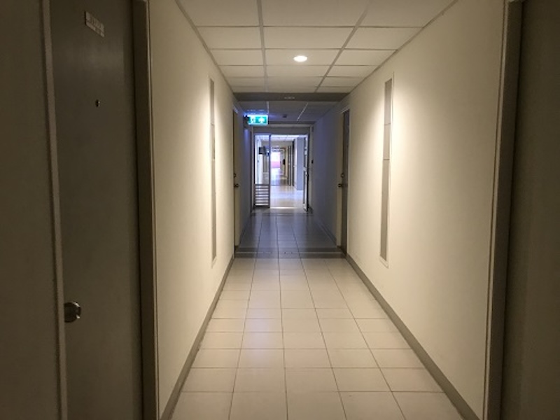 e11be4a3-144116-0.jpg