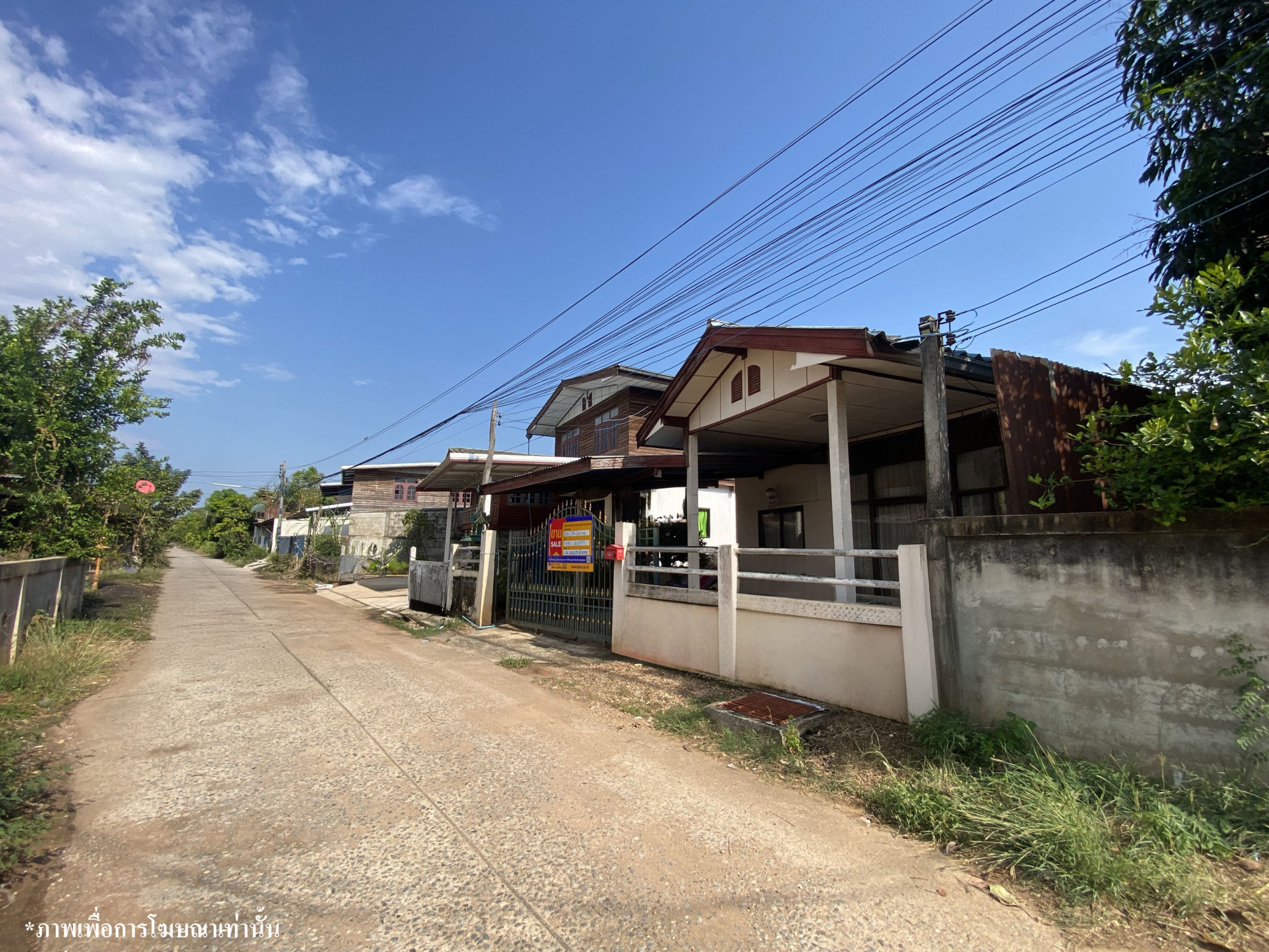 7466aae9-142358-1.jpg
