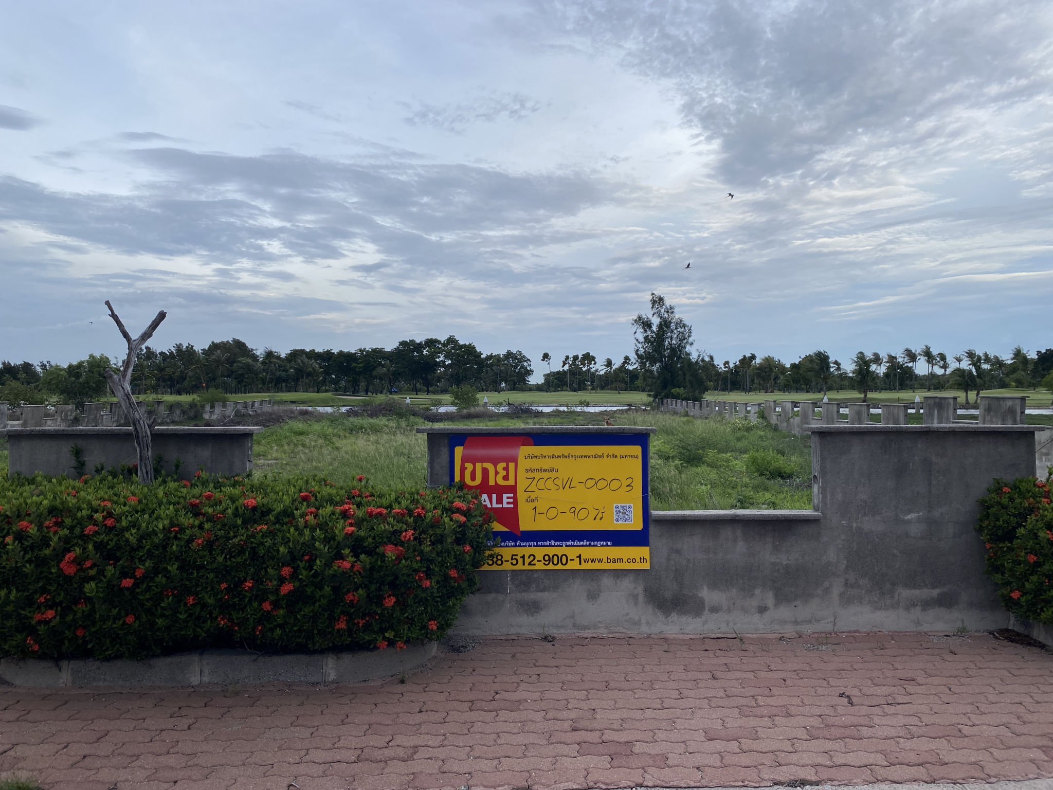 ที่ดิน   ฉะเชิงเทรา