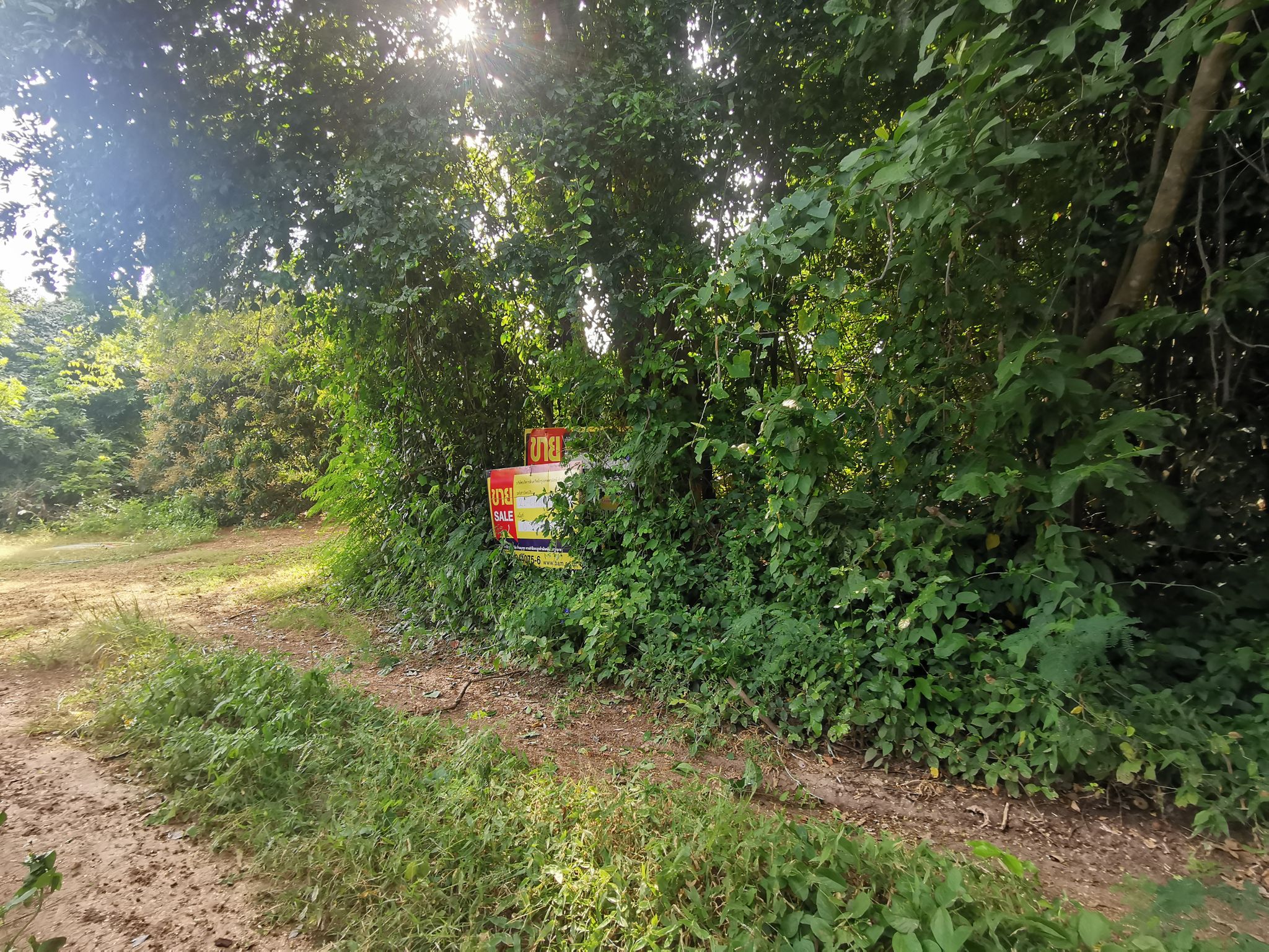 ที่ดิน บ้านแปะ จอมทอง เชียงใหม่