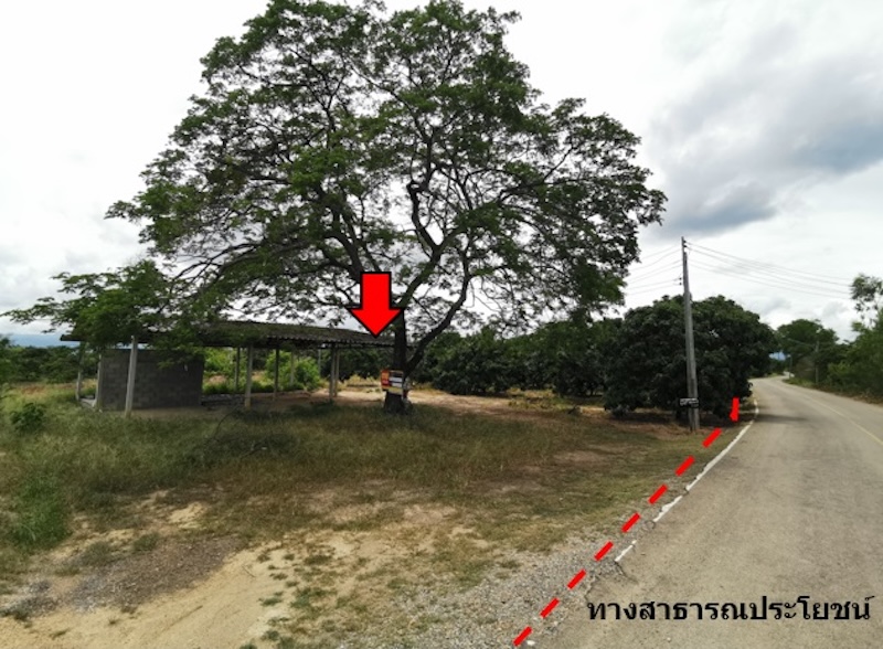 ที่ดิน ข่วงเปา จอมทอง เชียงใหม่