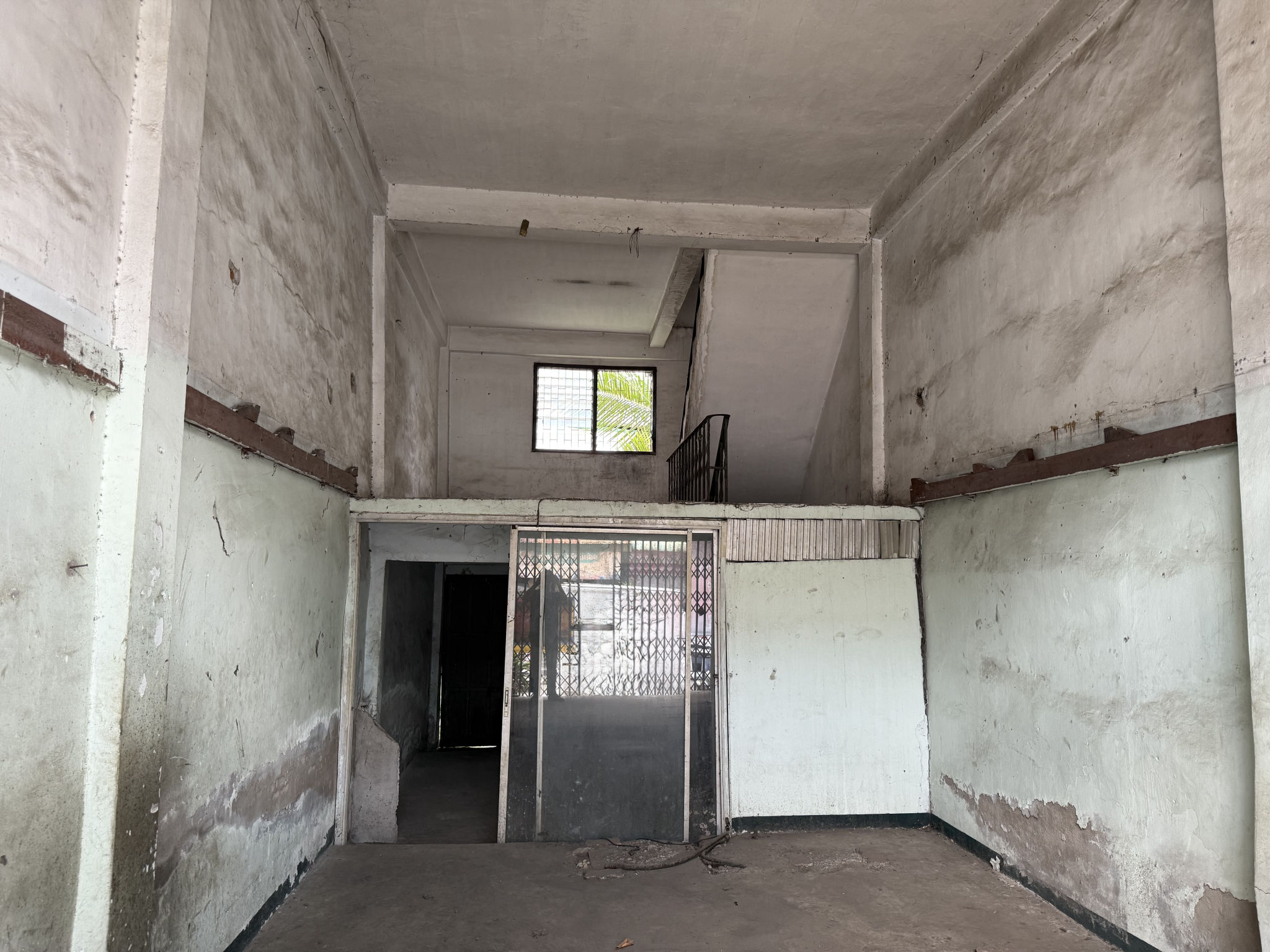dbbd5380-56162-0.jpg