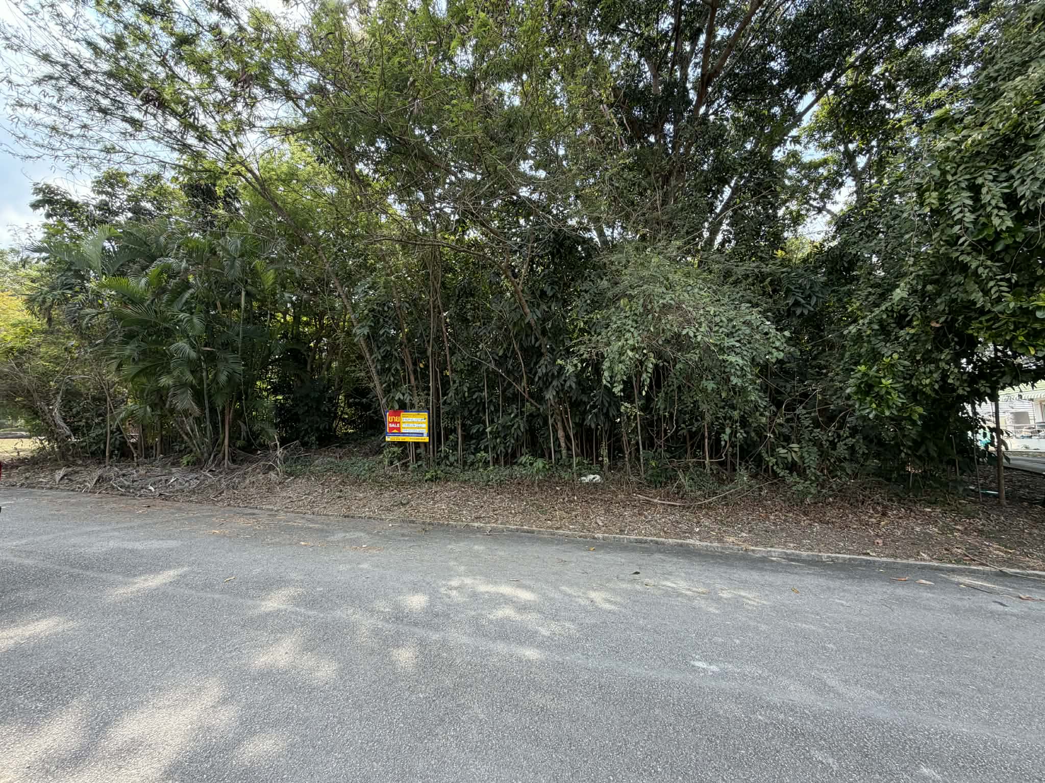 5b6d175c-8ace-4af9-8cfa-3f4c8c2050f7.jpg
