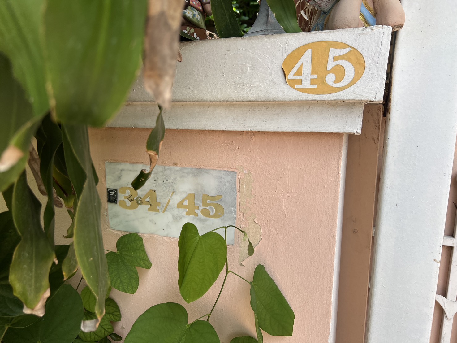 S__23330942.jpg