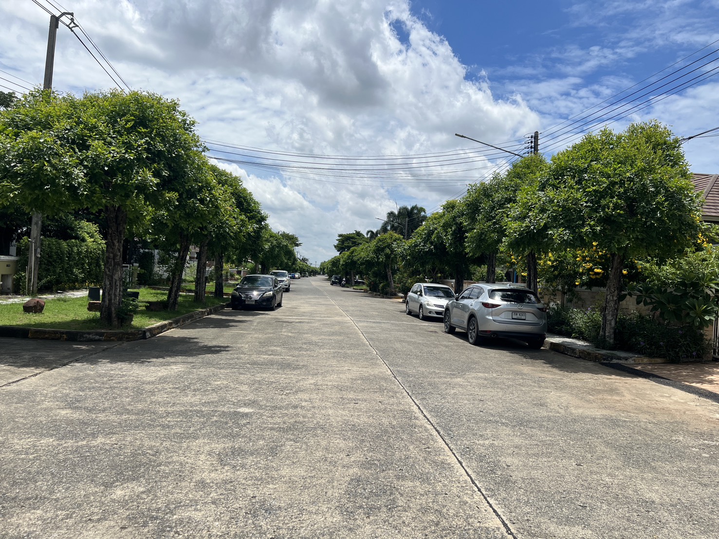 S__23330951.jpg