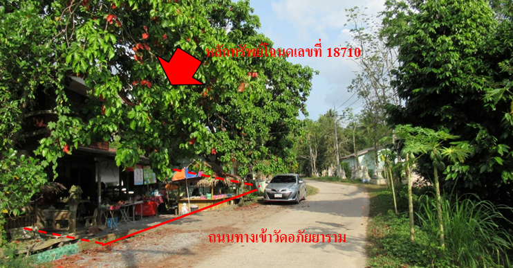 full_20211127213630.png