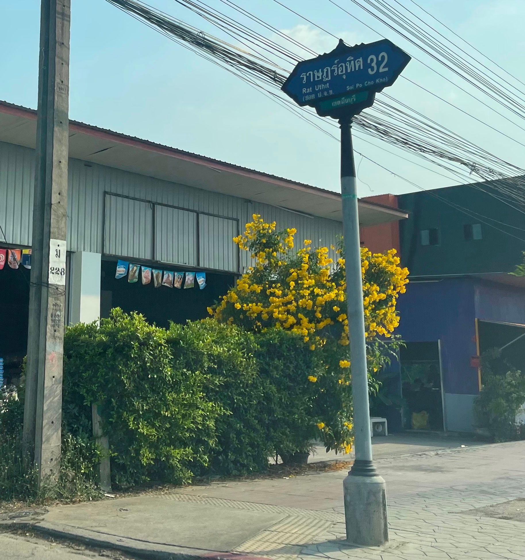 บ้านไม้ ฉ300555 6.jpg