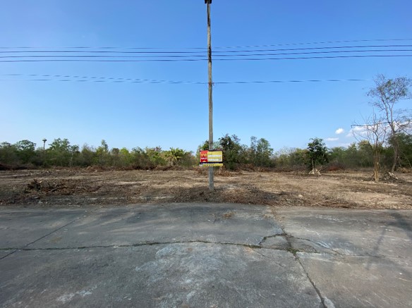 Picture11.jpg