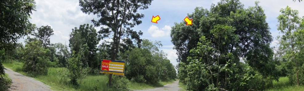 ที่ดิน ตะคุ  นครราชสีมา