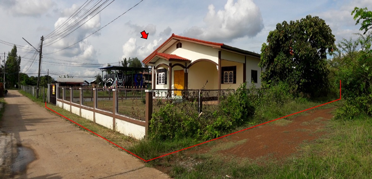43082541-39270-7.jpg