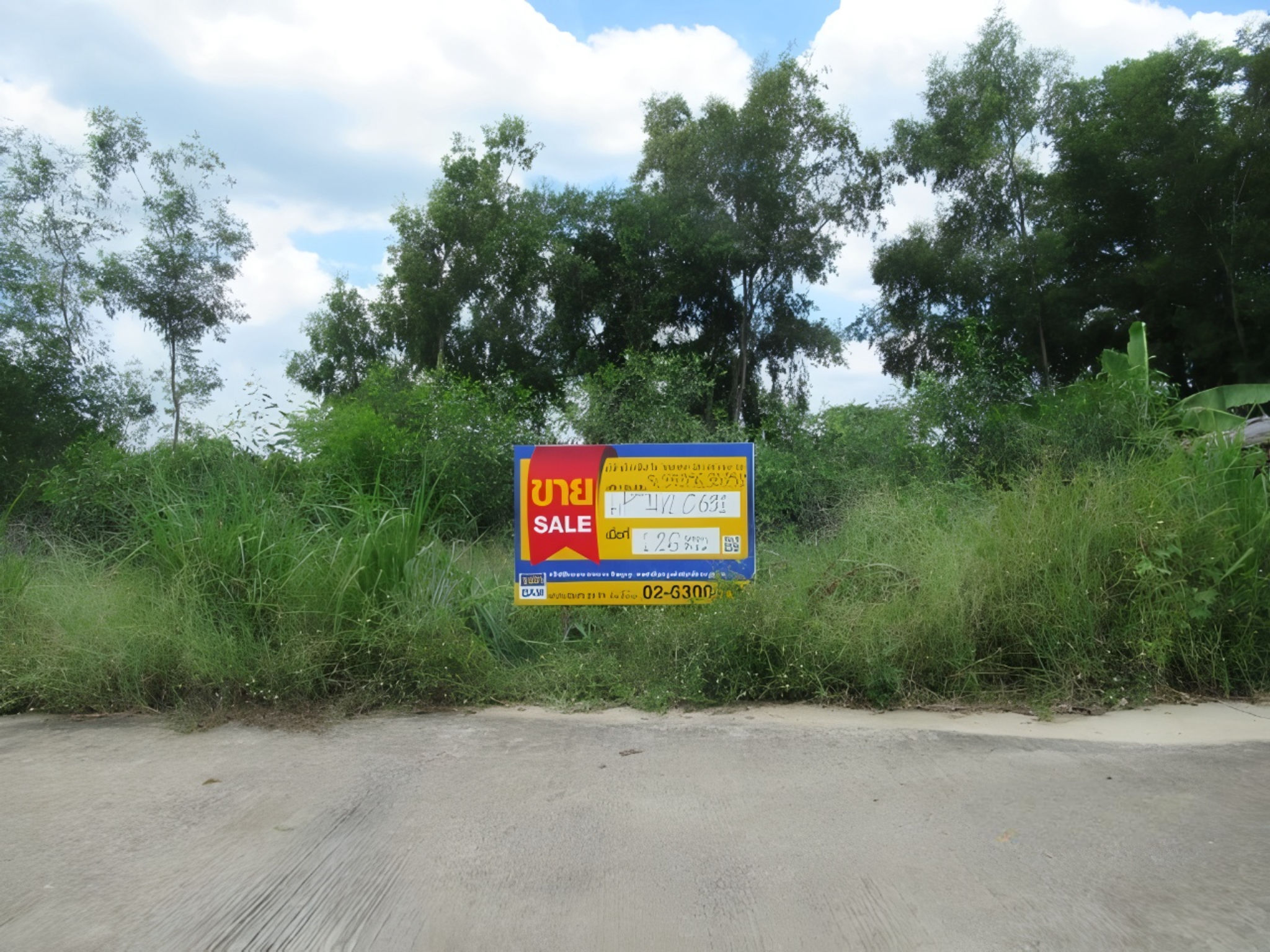 ที่ดิน บึงบา หนองเสือ ปทุมธานี
