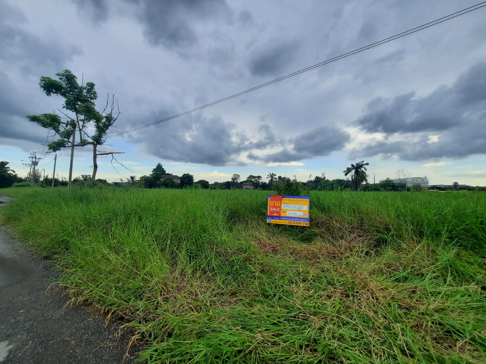 ที่ดิน ลำผักชี หนองจอก กรุงเทพมหานคร