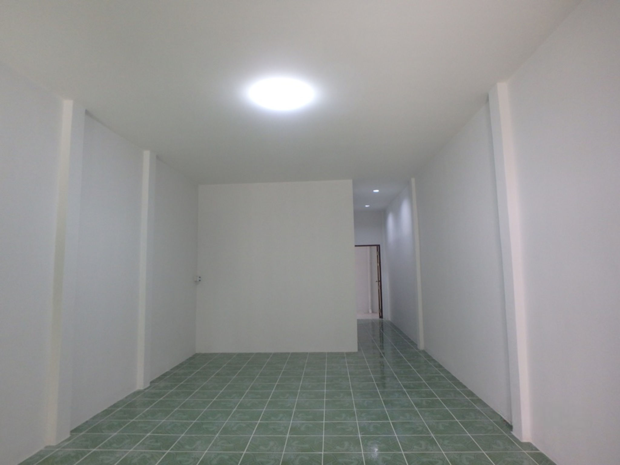 image (5).png