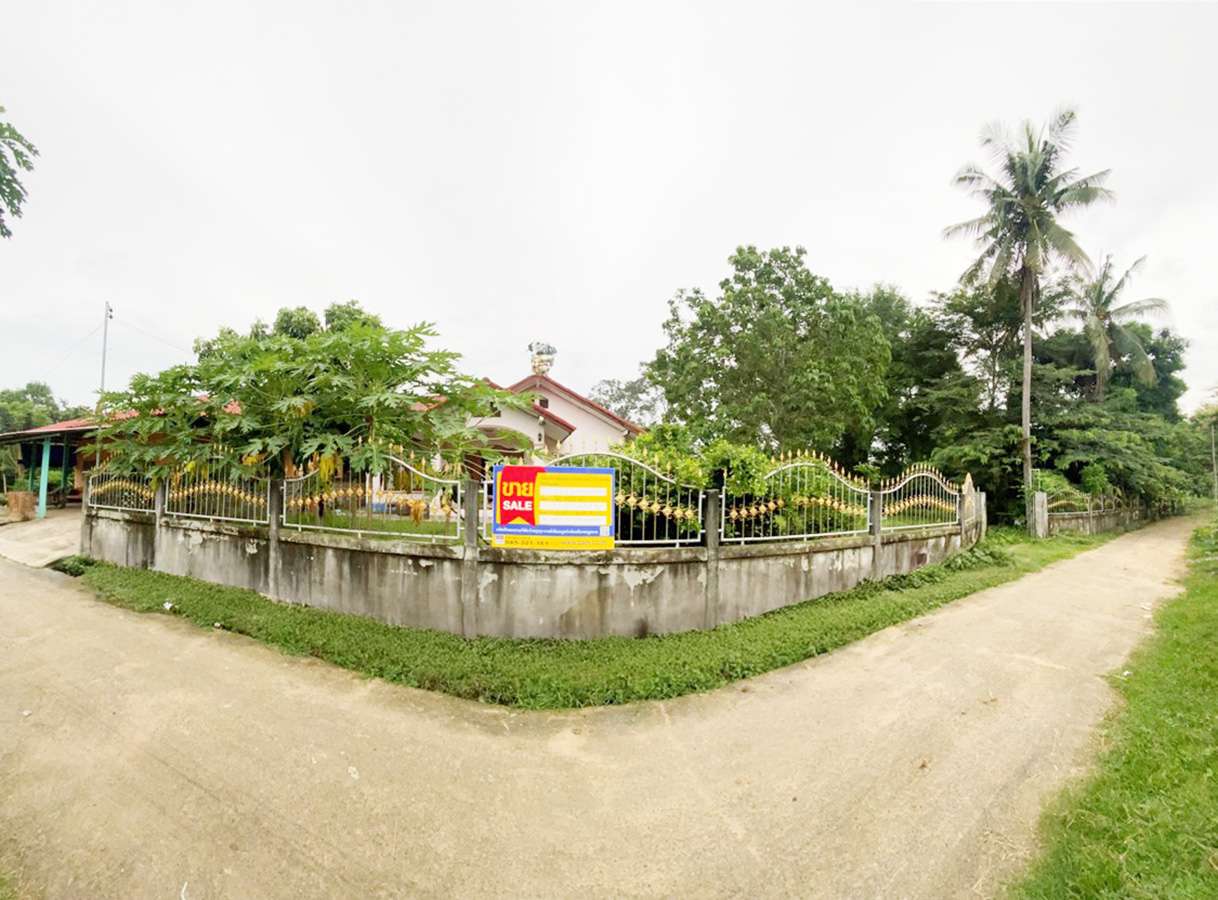 306e3d00-139119-0.jpg