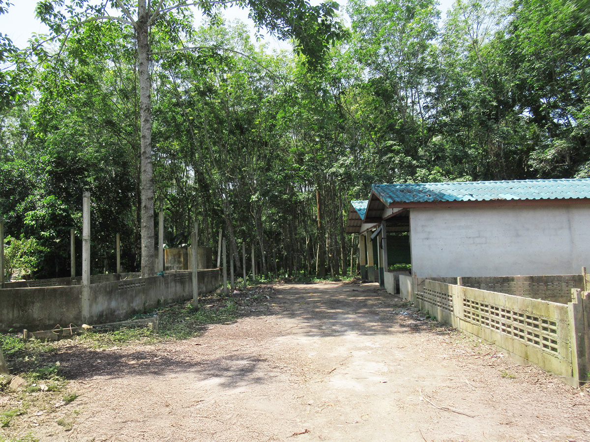 d49a693e-IMG_0066.jpg