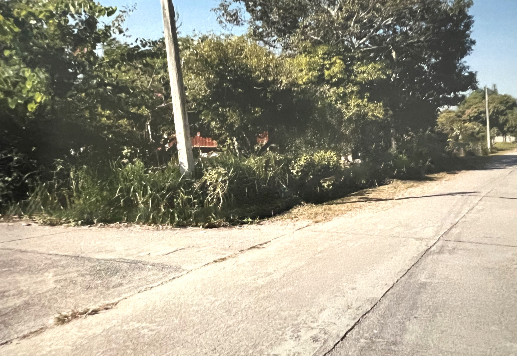 4a6e404e-1.jpg