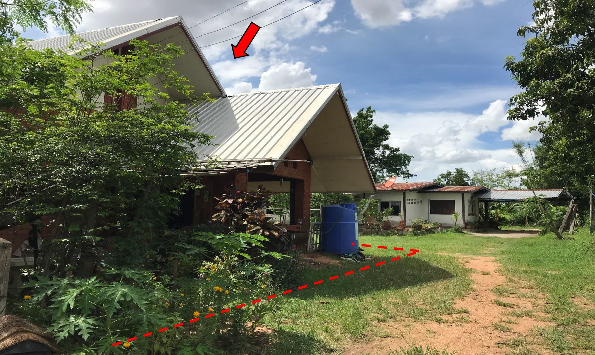 หน้าทรัพย์ 225354.jpg
