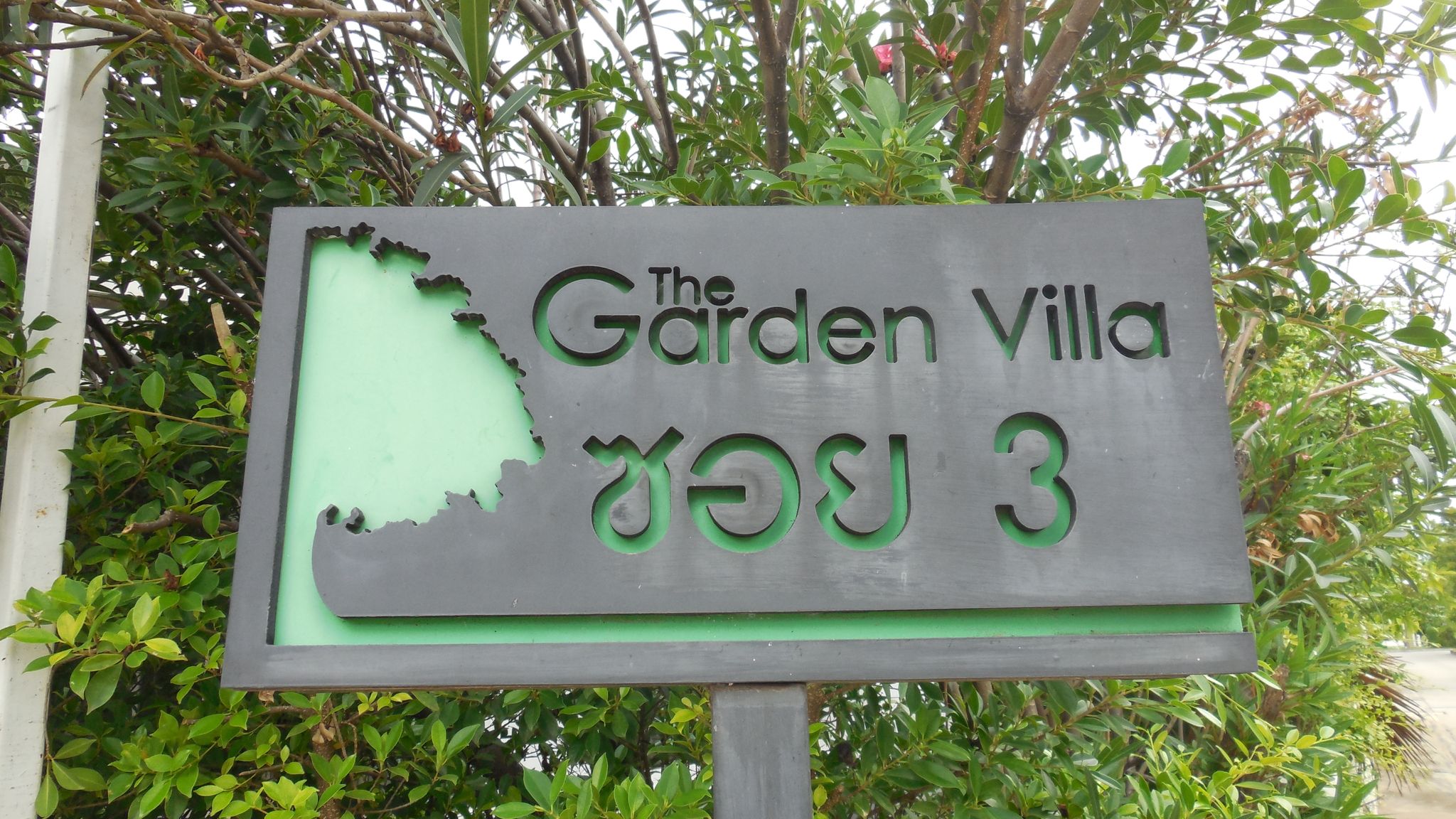 DSCN8093.JPG