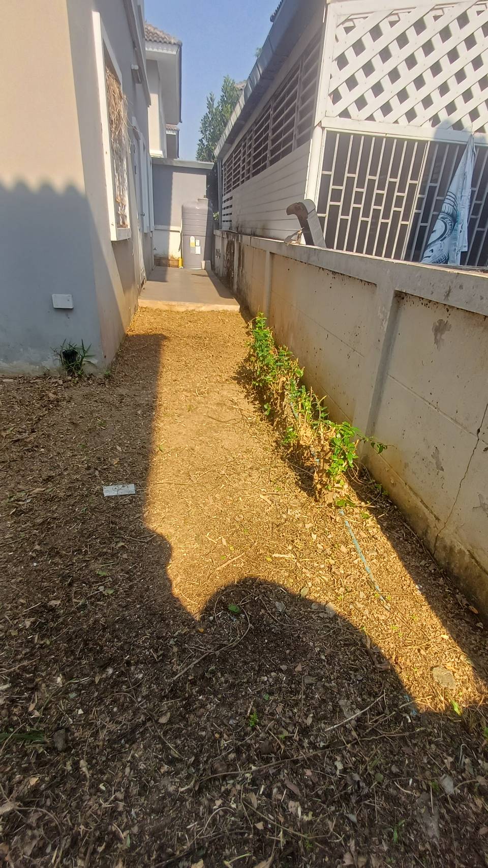 1000102990.jpg