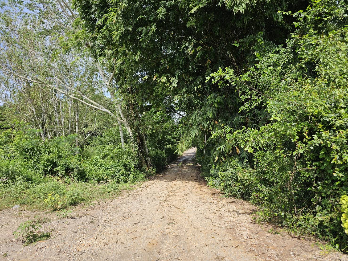 1726637677945.jpg