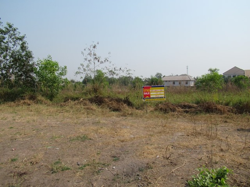 full_20200212151631.jpg