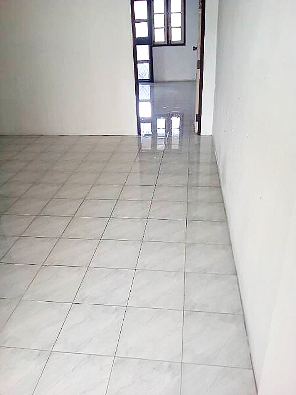full_20190219144224.jpg
