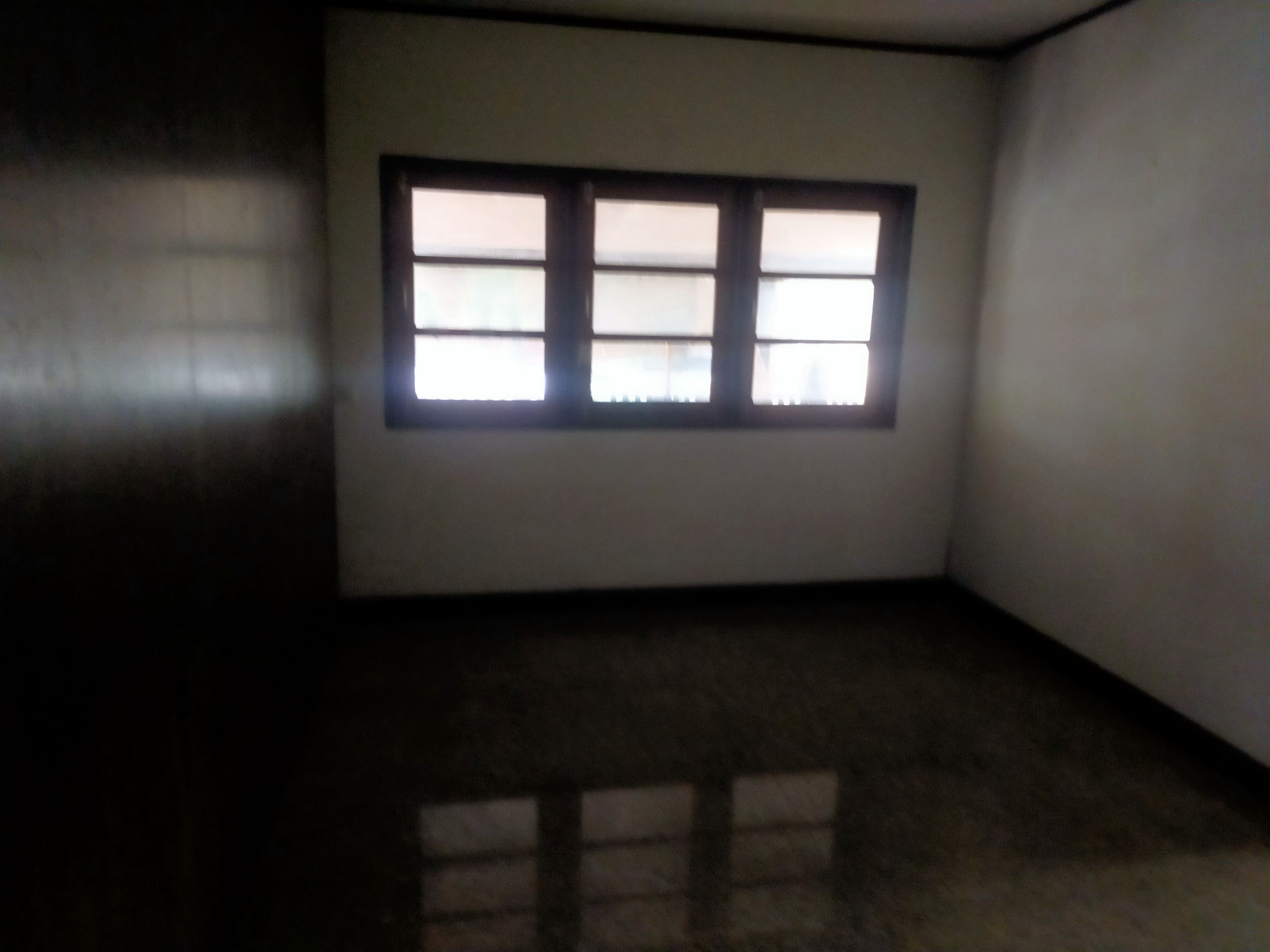 IMG20251216104258.jpg